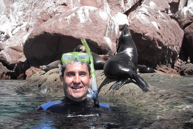 City Tour Cabo San Lucas and San Jose del Cabo - Two towns, one route: why this combo works