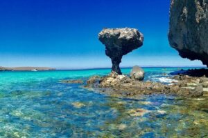 CityTour La Paz, Balandra beach and the Magic Town of Todos Santos - Starting at 5:00am: The Morning That Shapes Everything