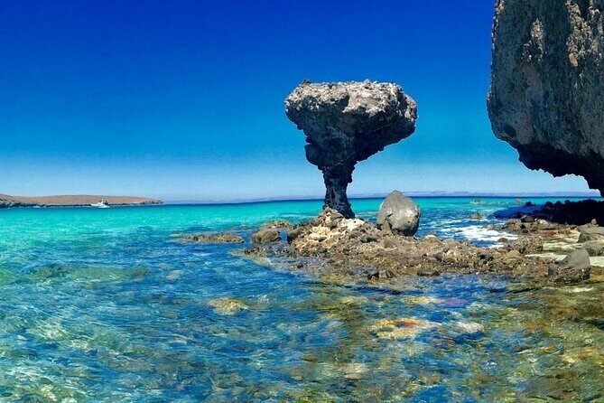 CityTour La Paz, Balandra beach and the Magic Town of Todos Santos - Starting at 5:00am: The Morning That Shapes Everything