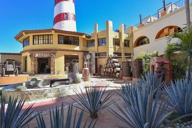 CityTour to San Jose, Cabo San Lucas and Arch Tour in Clearboat - Key things to know before you go