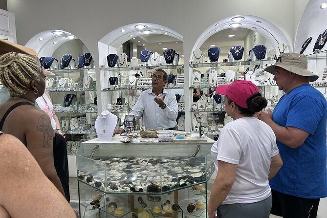 CityTour to San Jose, Cabo San Lucas and Arch Tour in Clearboat - Stop Light lunch and the Xocolat chocolate factory