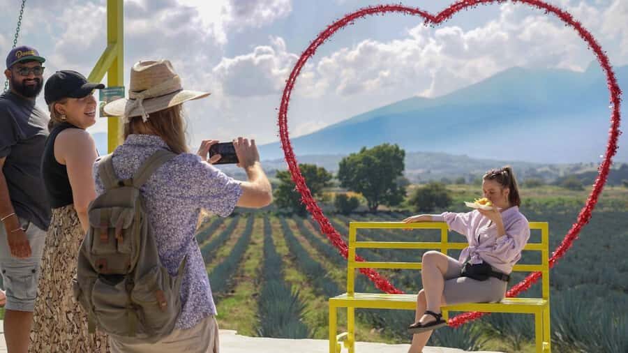 Classic Tequila Route Tour from Guadalajara and a few drinks at El Güero!!! - Key Things You’ll Remember