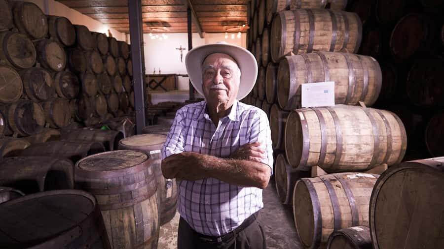 Classic Tequila Route Tour from Guadalajara and a few drinks at El Güero!!! - Who Should Book This Tequila Route Tour