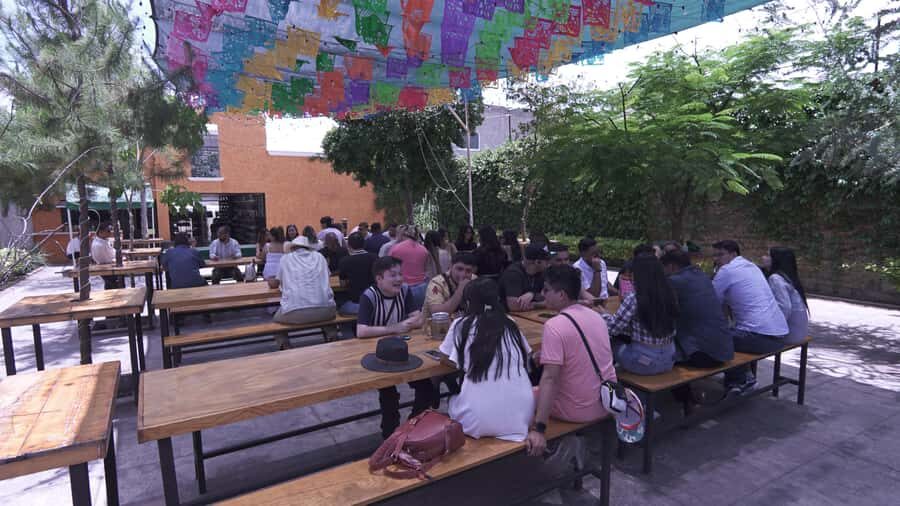 Classic Tequila Route Tour from Guadalajara and a few drinks at El Güero!!! - Tequila Town Walk, Market Stops, and Shopping Time