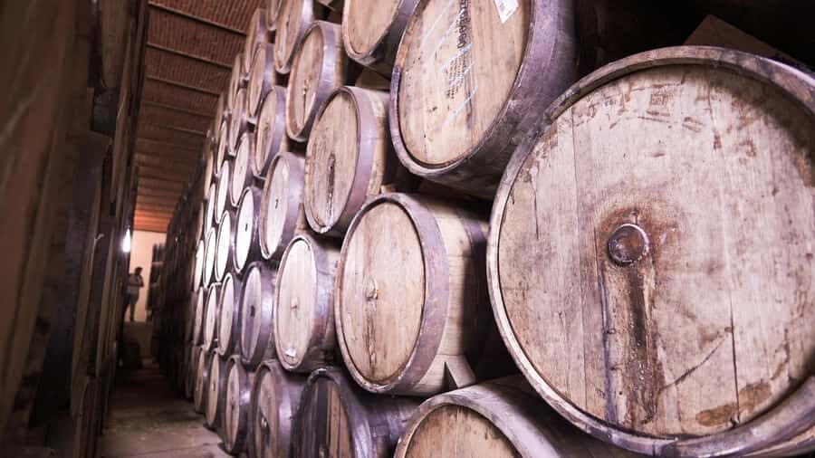 Classic Tequila Route Tour from Guadalajara and a few drinks at El Güero!!! - El Güero Cantina: Cantaritos, Music, and the Party Volume