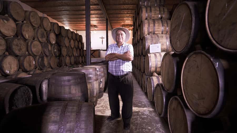 Classic Tequila Route Tour from Guadalajara and a few drinks at El Güero!!! - Agave Fields and the UNESCO Agave Landscape Stop