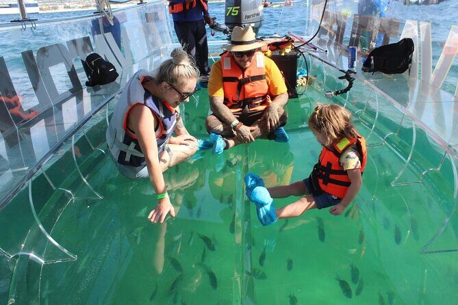 Clear Boat Ride in Los Cabos - Sea of Cortez Stop: Under-the-Boat Views Without Getting Wet