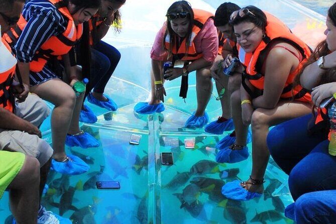 Clear Boat Ride in Los Cabos - The Tour Guides and What They’re Known For