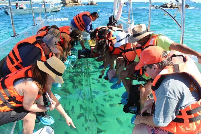 Clear Boat Ride in Los Cabos - El Arco de Cabo San Lucas: The Arch Photo Stop With Clear-Water Wildlife