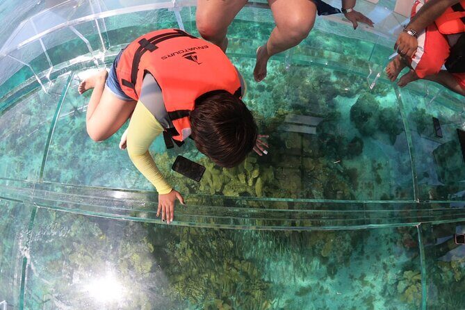 Clearboat in Cancun + Refreshments !! - Caribbean Sea cruising: where the wildlife variety shows up