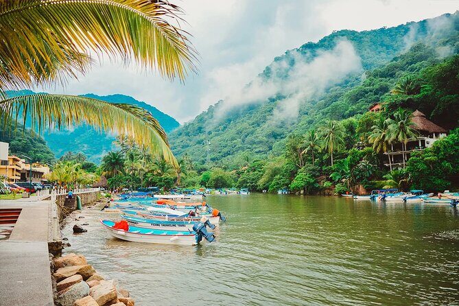 Coastal and Jungle Hiking Tour along 6 Beaches of Puerto Vallarta - Los Caballos: the food stop that turns the route into a break you’ll look forward to