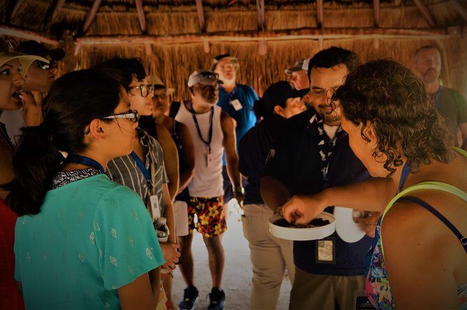 Coba and Tulum, cenote swim and buffet lunch - Timing, Comfort, and Why a Big Group Matters