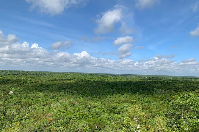 Coba Ruins and Punta Laguna Monkey Reserve Day Tour from Tulum - Who This Tour Is Best For (and Who Should Think Twice)