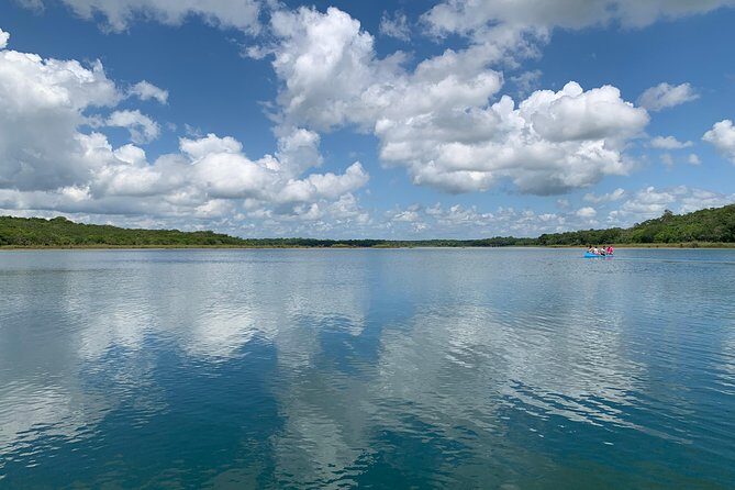 Coba Ruins and Punta Laguna Monkey Reserve Day Tour from Tulum - Punta Laguna: A Mayan Purification Ritual and Jungle Wildlife
