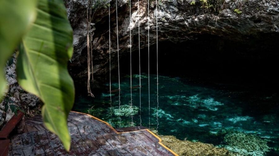 Coba, Tulum, Cenote & Lunch ECO Full Day from Rivera - Price and logistics: $77 is a value, but plan for extra fees and a long day