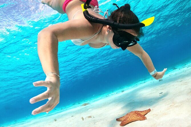 Colombia, Palancar & Cielo Cozumel Snorkel Tour - The 4-Hour Reef Circuit: What You’re Signing Up For