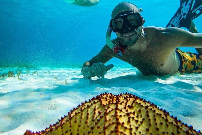 Colombia, Palancar & Cielo Cozumel Snorkel Tour - The Main Tradeoffs: Timing, Reef Changes, and Bathroom Reality