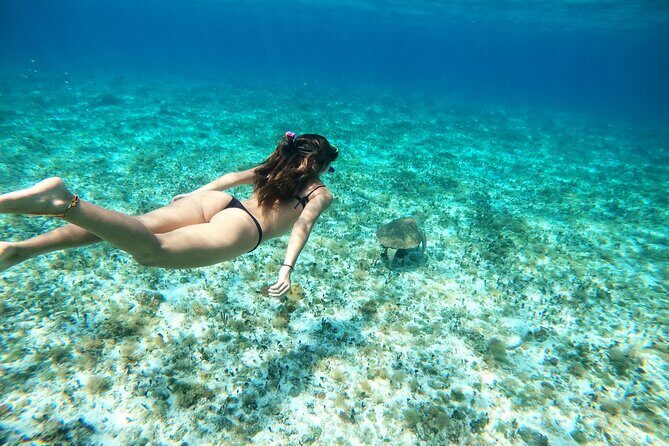 Colombia, Palancar & Cielo Cozumel Snorkel Tour - Pickup and Meeting Point: How to Get There Without Stress