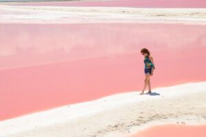 Coloradas Pink Lagoon Adventure from Playa del Carmen and Riviera Maya - Las Coloradas Pink Lagoon: Rosas Waters, Photo Time, and the Extra Tax