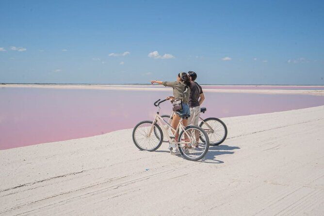Coloradas Pink Lagoon Adventure from Playa del Carmen and Riviera Maya - Guide Style Makes the Difference: Names You Might Hear