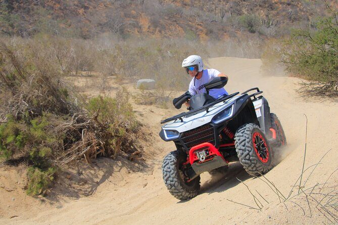 Combo Horseback Ride and Sky Bike in Cabo - Sky Bikes Above the Desert: Views, Adrenaline, and Safety Setup