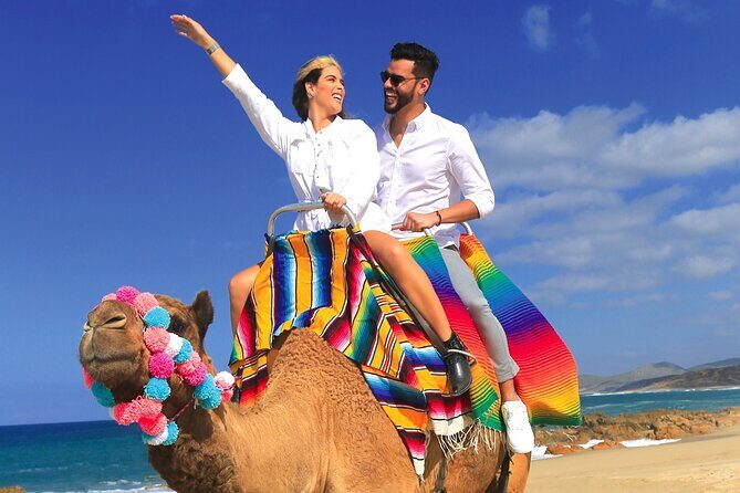 Combo Horseback Ride and Sky Bike in Cabo - Migriño Beach Stop: Pacific Views and Seasonal Whale Possibility