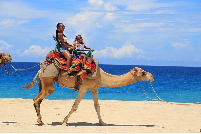 Combo Horseback Ride and Sky Bike in Cabo - Price and Value: How the $125 Works Out in Real Life