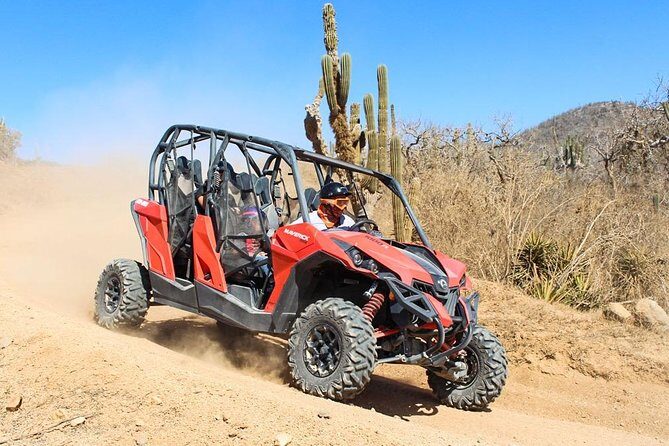 COMBO Horseback Riding & UTV Tour - Cabo Combo: Horses Meet UTVs at G-Force Adventures