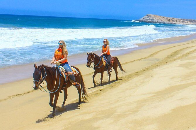 COMBO Horseback Riding & UTV Tour - The UTV hour: lead-follow fun with built-in speed control
