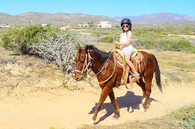 COMBO Horseback Riding & UTV Tour - Pickup, meeting point, and how to plan your day