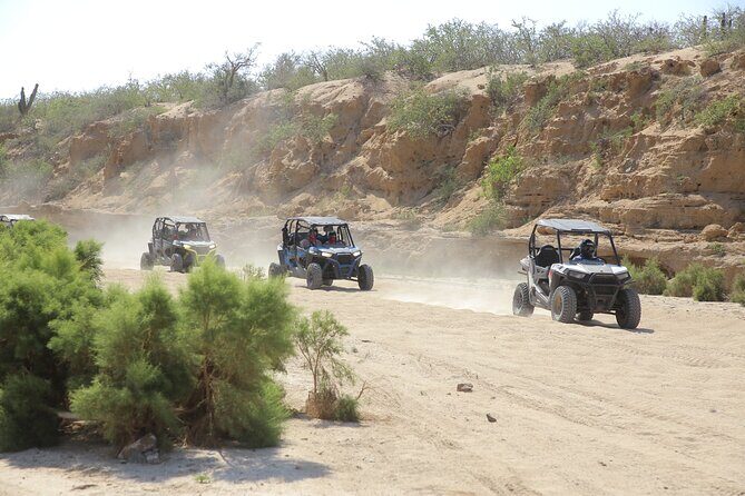 Combo Single Offroad 4x4 UTV, Camel Ride, Lunch & Tequila Tasting - Key things you’ll notice fast