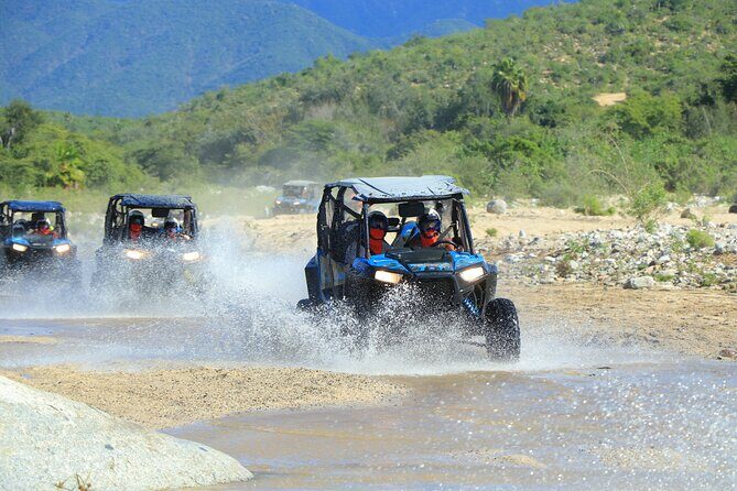 Combo Single Offroad 4x4 UTV, Camel Ride, Lunch & Tequila Tasting - Combo Tour in Baja California Sur: UTV, camel, lunch, tequila in one run