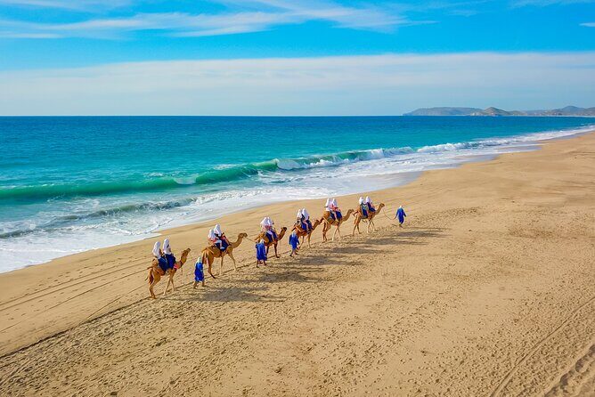 Combo Single Offroad 4x4 UTV, Camel Ride, Lunch & Tequila Tasting - Camel Ranch on a secluded beach: the calm part of the combo