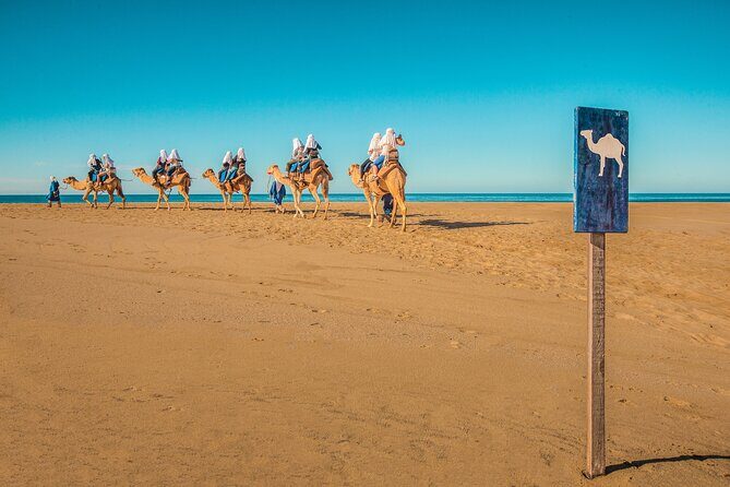 Combo Single Offroad 4x4 UTV, Camel Ride, Lunch & Tequila Tasting - What to pack and wear: keep it simple for the UTV