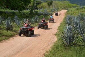 COMBO Zip lines and ATV´s at Hacienda Los Osuna - Mid-Tour Recharge: Quesadillas and Water That Keep You Moving