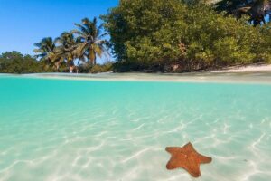 Contoy Island Tour from Cancun and Isla Mujeres with Snorkeling - 3 hours on Contoy Island: guided tour, beach time, and bird-and-lagoon watching