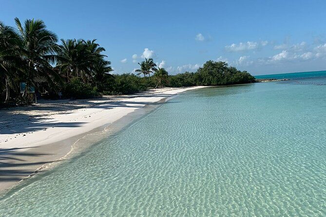 Contoy Island Tour from Cancun and Isla Mujeres with Snorkeling - Price and value: $155.32 plus the $20 dock tax