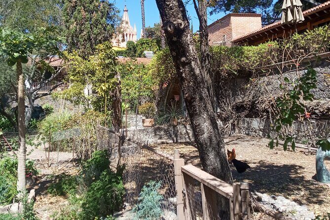 Cook & Dine | Make Authentic Mexican Mole and Salsas in San Miguel de Allende - Drinks, Dinner Flow, and the Cacao Water Welcome