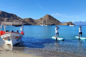 Coronado Island tour and swim with the sea lions - The 9:00 am Start and 5-Hour Pace (So You Can Plan the Rest of Your Day)