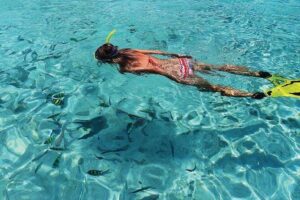 Coronado Island Tour from Loreto - The boat lap: seeing the island’s wildlife without skipping the best view