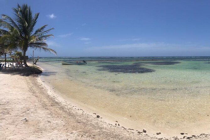 Costa Maya Beach Break All Inclusive From Port - Price and value: is $99 worth it?