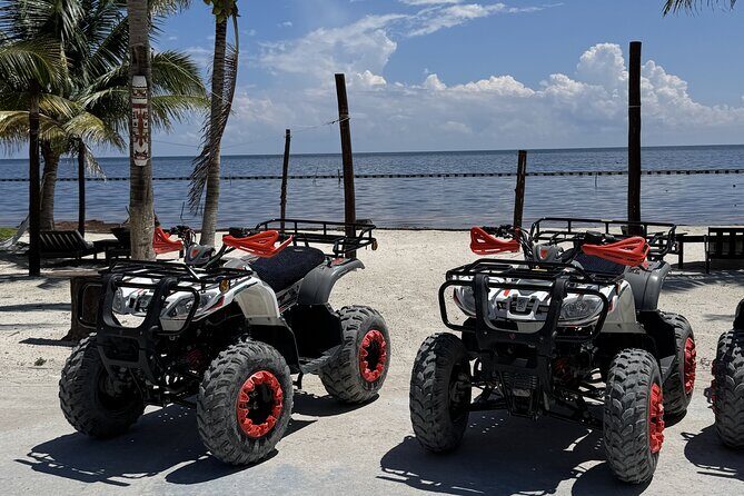 Costa Maya Open Bar ATV Adventure - Lunch by the Beach: Convenient, But Expect Crowd Energy