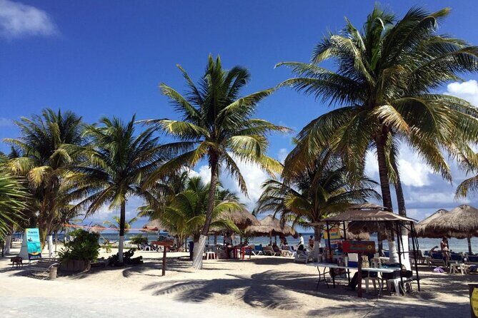 Costa Maya Port All-Inclusive Beach Escape - Price and value: where $89 makes sense