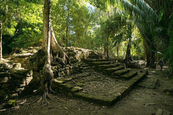 Costa Maya Shore Excursion: Chacchoben Day Trip - Quick hits before you go