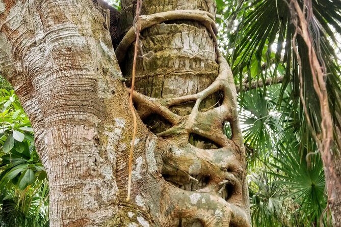 Costa Maya Shore Excursion: Chacchoben Day Trip - Meeting your guide: the names you might hear on the day