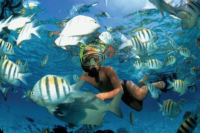 Costa Maya Snorkel Tour - Who should book this Costa Maya snorkeling tour