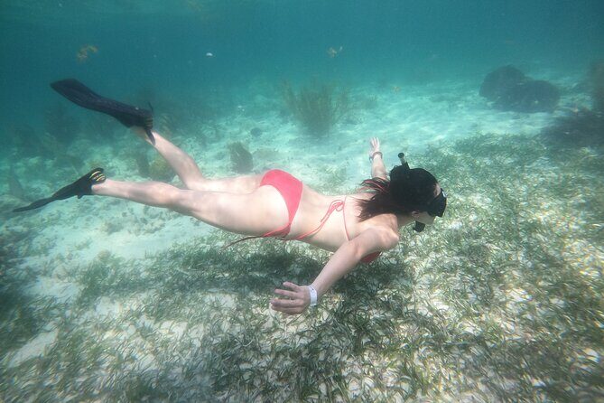 Costa Maya, snorkeling on the reef with fish, looking for turtles - Finding La Diosa del Mar on Mahahual’s main strip