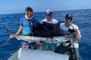 Costa Maya Sport Fishing - What you can target: big pelagics and the art of reading the ocean