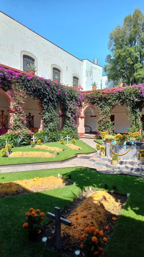 Coyoacán: History and Life of a Magical Neighborhood - A 2.5-hour walking tour that ties landmarks to daily life