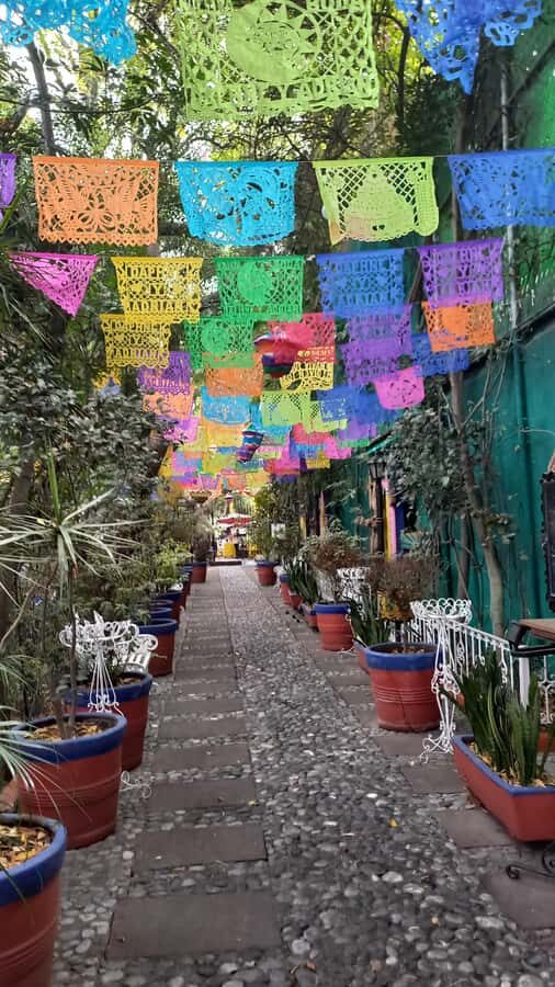 Coyoacán: History and Life of a Magical Neighborhood - Santa Catarina Park: the first squares and the first big context